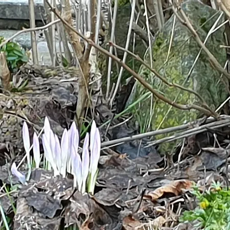 アパート Schwarz Benshausen