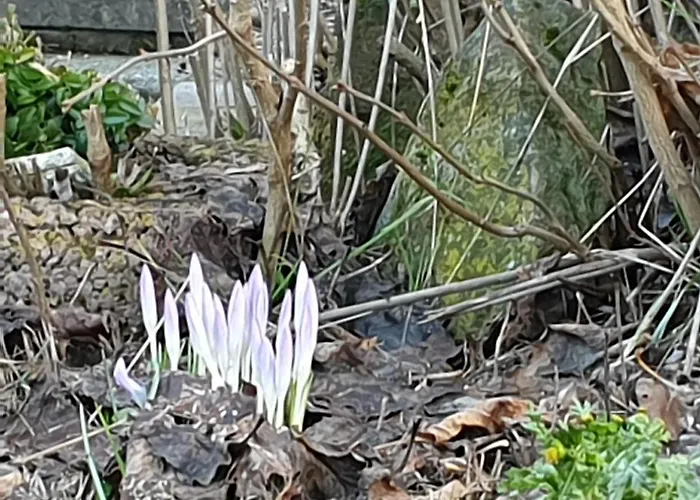 Appartement Schwarz Benshausen